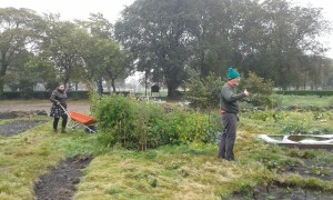 Crofters Julie and Donald are defying the rain and working the Croft in Leith Links Park! Photo: AnnVixen
