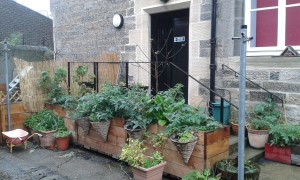 One of the secret gardens of Leith! Photo: AnnVixen