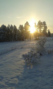 Sunrise in Skattungbyn. Photo: AnnVixen