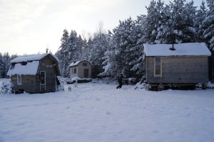 Three Tiny Homes on wheels by the woods at Flurludar farm. Photo: Agata Mazgaj