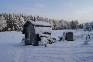 A Tiny Home on wheels, 7 square meters of living space. Cost 4 000 Kronor / 400 Euro. Photo: Agata Mazgaj