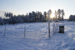 The farmland sleeps under its snowy cover, awaiting the farming season. Photo: Agata Mazgaj