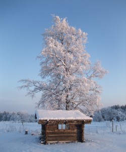 At the top of the slopes of Skattungbyn. Photo: AnnVixen