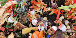 Kitchen scraps for compost - eggshells, peels and other produce. Photo: Backyard-Eden
