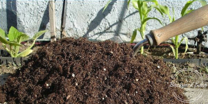 Add some soil to your lasagna compost. Photo: Backyard-Eden.com