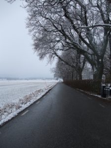 The Västman plains, Sweden. Photo: AnnVixen