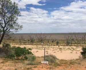 Lake Menindee in 2016, the grey-brown areas used to be the lake. Photo: Sandra Kanck