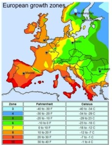 growth-zones-europe