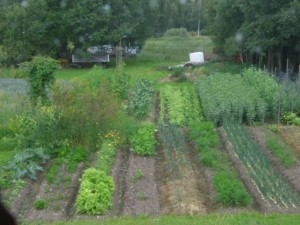 The healthy green self-containing garden! Photo: Zoe Elims Tellus Think Tank 2016